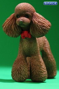 1/6 Scale Toy Poodle (brown)