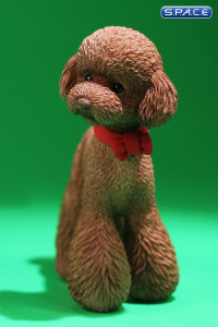 1/6 Scale Toy Poodle (brown)