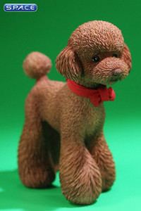 1/6 Scale Toy Poodle (brown)