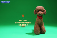 1/6 Scale Toy Poodle (brown)