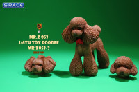 1/6 Scale Toy Poodle (brown)