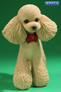 1/6 Scale Toy Poodle (light gold)