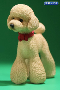 1/6 Scale Toy Poodle (light gold)