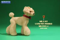 1/6 Scale Toy Poodle (light gold)