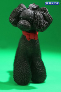 1/6 Scale Toy Poodle (black)