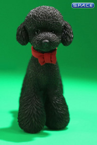 1/6 Scale Toy Poodle (black)