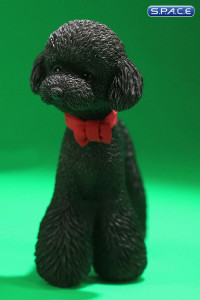 1/6 Scale Toy Poodle (black)