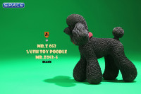 1/6 Scale Toy Poodle (black)