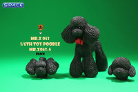 1/6 Scale Toy Poodle (black)