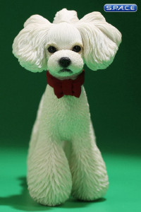 1/6 Scale Toy Poodle (white)