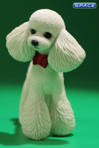 1/6 Scale Toy Poodle (white)