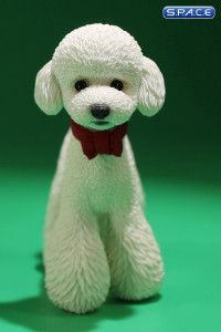 1/6 Scale Toy Poodle (white)