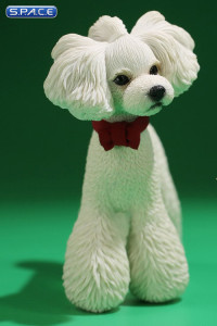 1/6 Scale Toy Poodle (white)