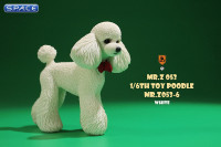 1/6 Scale Toy Poodle (white)