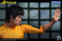 1:1 Bruce Lee Life-Size Bust (Game of Death)