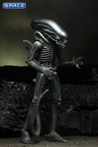 Complete Set of 3: Alien 40th Anniversary Series 4 (Alien)