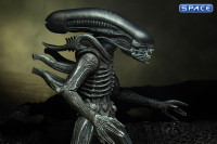 Complete Set of 3: Alien 40th Anniversary Series 4 (Alien)