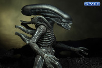 3er Komplettsatz: Alien 40th Anniversary Serie 4 (Alien)