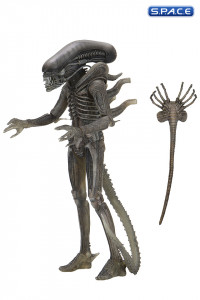 3er Komplettsatz: Alien 40th Anniversary Serie 4 (Alien)