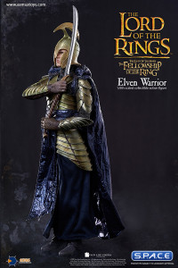 1/6 Scale Elven Warrior (Lord of the Rings)