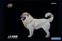 1/6 Scale Caucasian Sheepdog (beige)