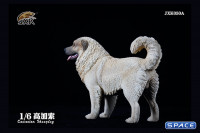1/6 Scale Caucasian Sheepdog (beige)