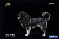 1/6 Scale Caucasian Sheepdog (black)