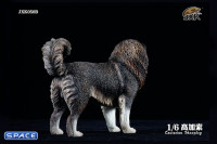 1/6 Scale Caucasian Sheepdog (black)