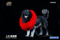 1/6 Scale Caucasian Sheepdog (black)