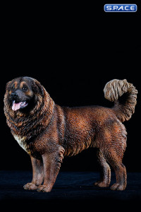 1/6 Scale Caucasian Sheepdog (dark brown)