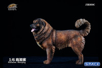 1/6 Scale Caucasian Sheepdog (dark brown)