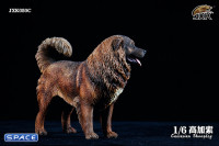 1/6 Scale Caucasian Sheepdog (dark brown)