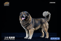 1/6 Scale Caucasian Sheepdog (black/brown)