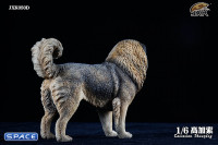 1/6 Scale Caucasian Sheepdog (black/brown)