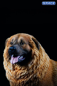 1/6 Scale Caucasian Sheepdog (brown)