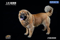 1/6 Scale Caucasian Sheepdog (brown)