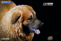 1/6 Scale Caucasian Sheepdog (brown)