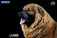 1/6 Scale Caucasian Sheepdog (brown)