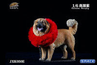 1/6 Scale Caucasian Sheepdog (brown)