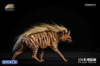 1/6 Scale Striped Hyaena (red)