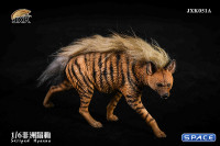 1/6 Scale Striped Hyaena (red)