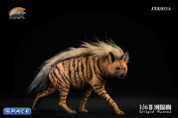 1/6 Scale Striped Hyaena (red)