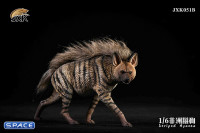 1/6 Scale Striped Hyaena (grey)