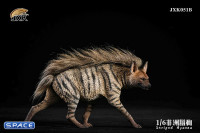 1/6 Scale Striped Hyaena (grey)