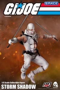 1/6 Scale Storm Shadow (G.I. Joe)