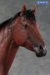 1/6 Scale Thoroughbred Horse (brown)