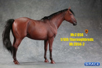 1/6 Scale Thoroughbred Horse (brown)