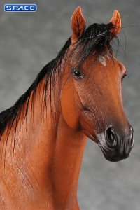 1/6 Scale Thoroughbred Horse (red)