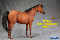1/6 Scale Thoroughbred Horse (red)