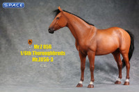 1/6 Scale Thoroughbred Horse (red)